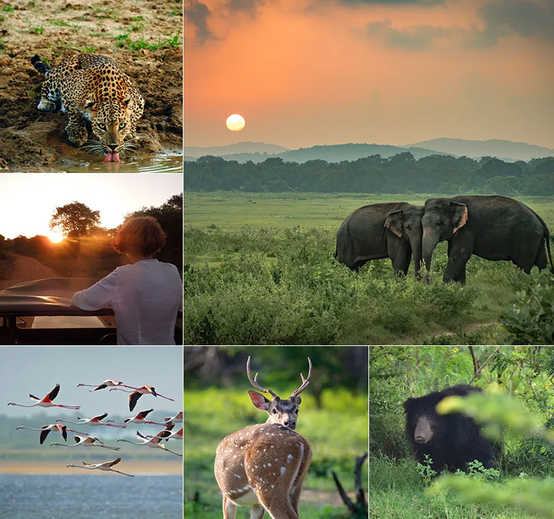 Photography Tour