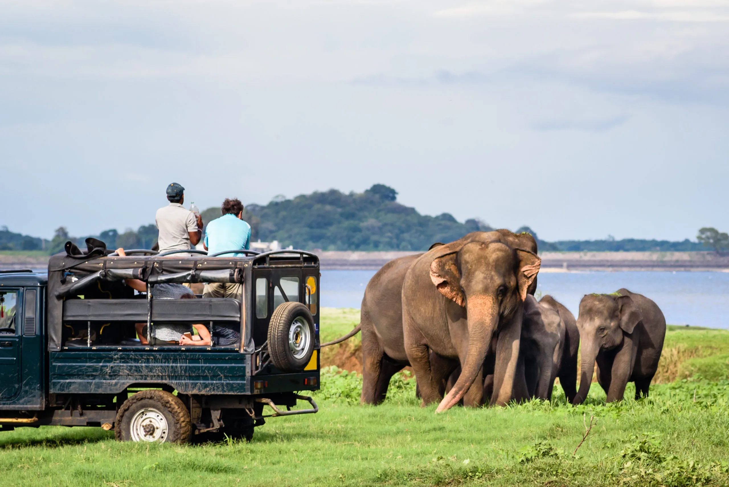 Day Safari